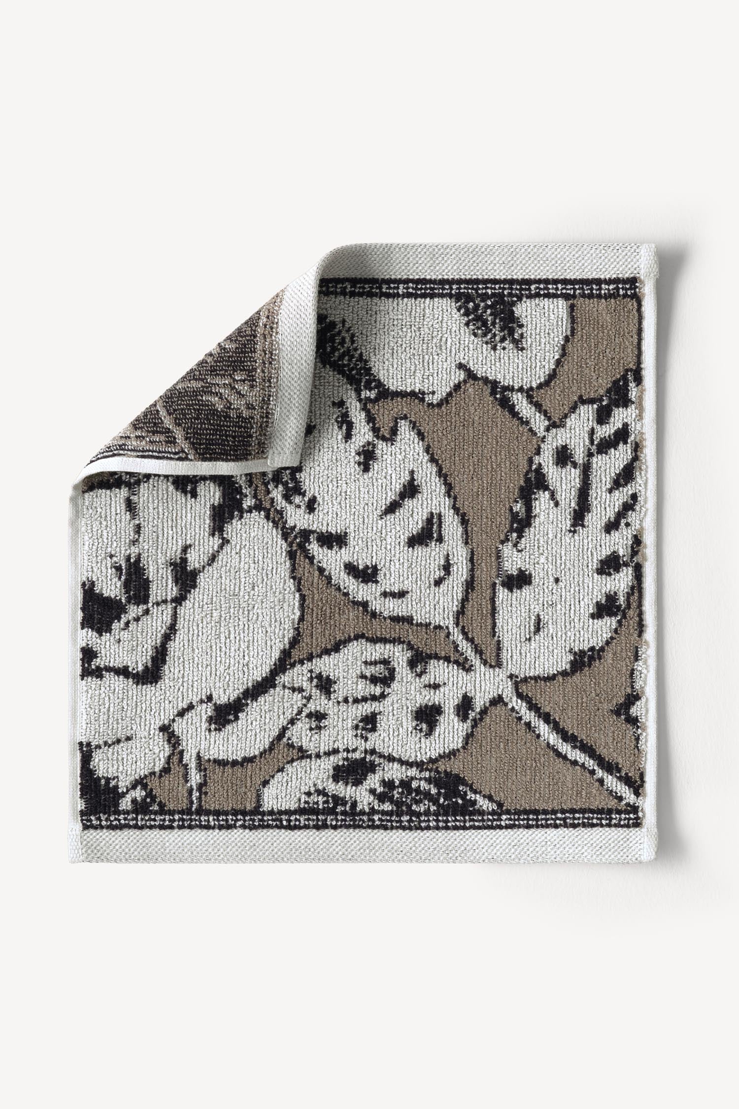 Caressa İpliği Boyalı 6'lı Misafir Havlusu Seti Taş - CHERX