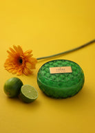 Key Lime 2'li Mum Seti - CHERX
